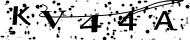 If you are human, you can read this